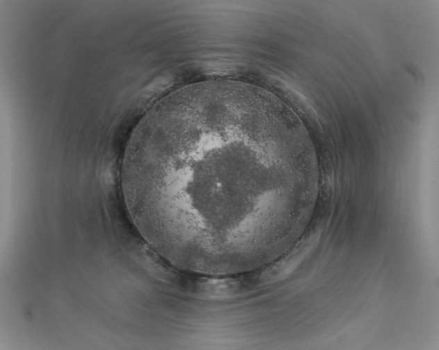 X0000113020277200908271440