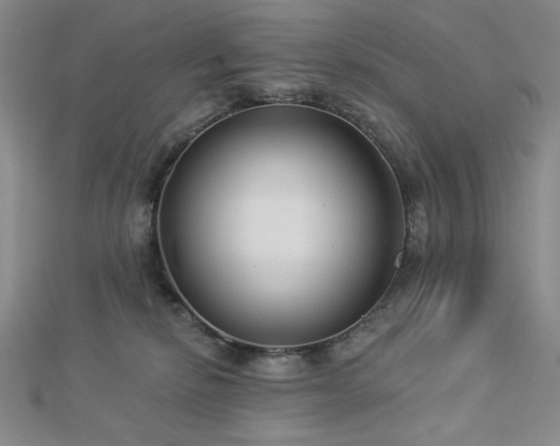 X0000113020278200908271440