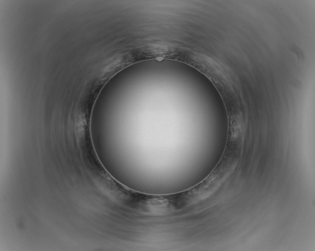 X0000113020279200908271440