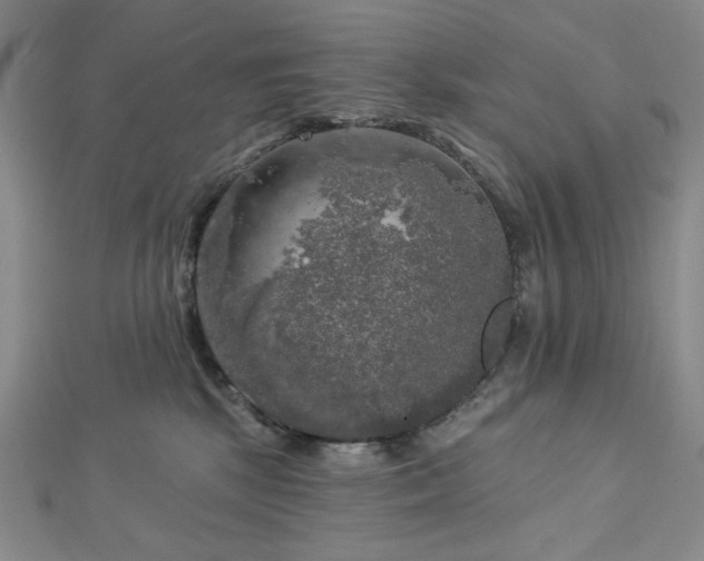 X0000113020281200908271440
