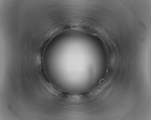 X0000113020282200908271440