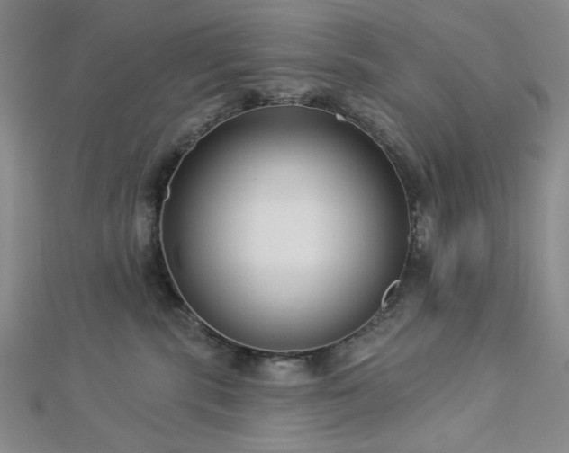 X0000113020283200908271440