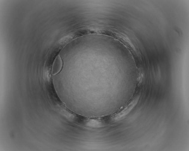 X0000113020285200908271440
