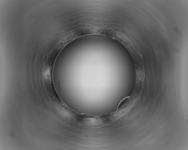 X0000113020286200908271440