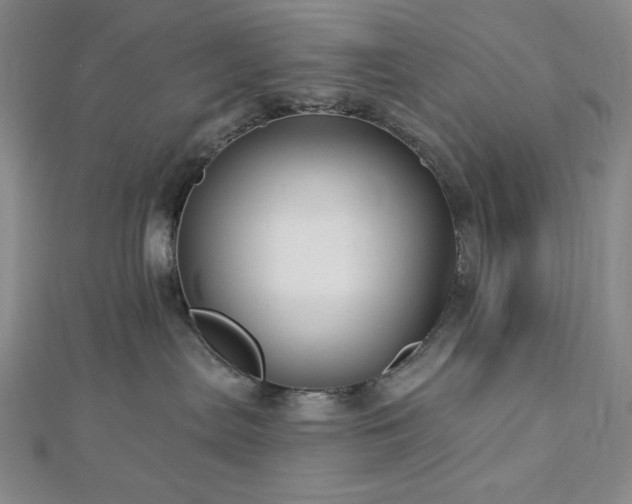 X0000113020287200908271440