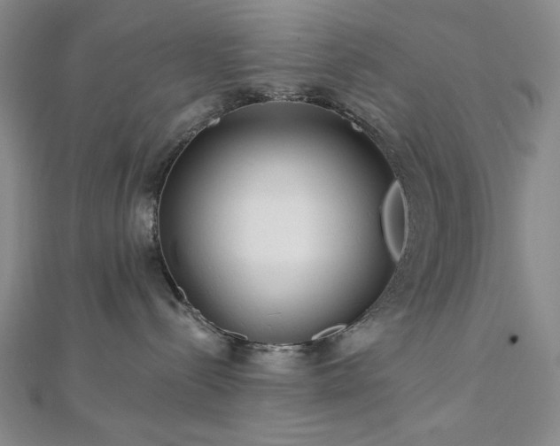 X0000113020288200908271440
