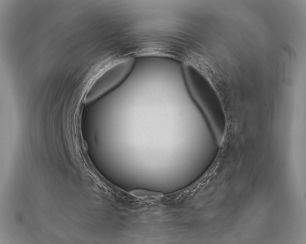 X0000113020289200908271439