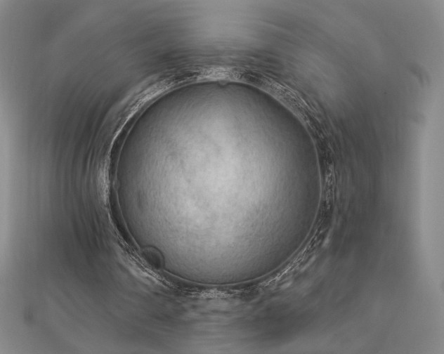 X0000113020290200908271439