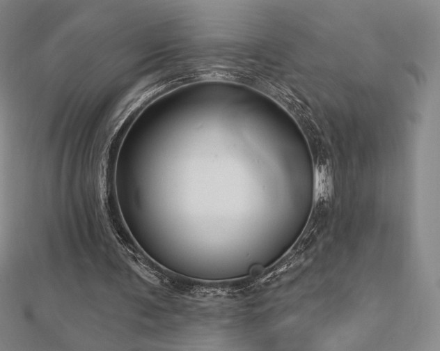 X0000113020291200908271439