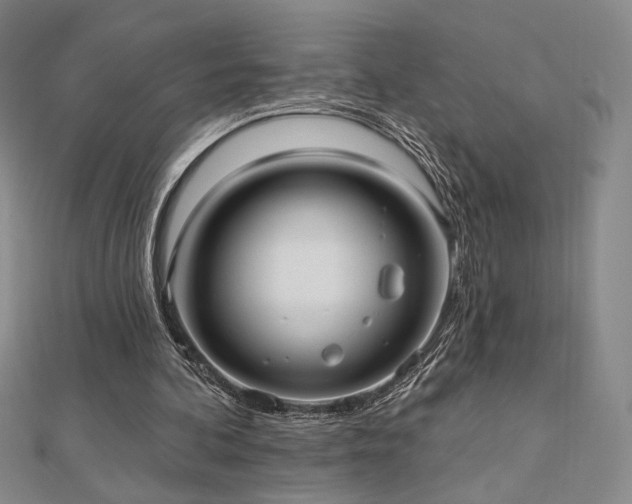 X0000113020292200908271439