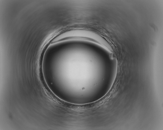 X0000113020293200908271439