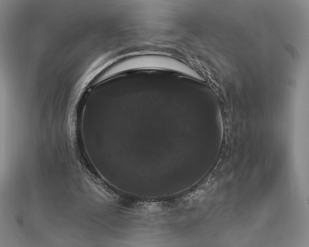 X0000113020295200908271439