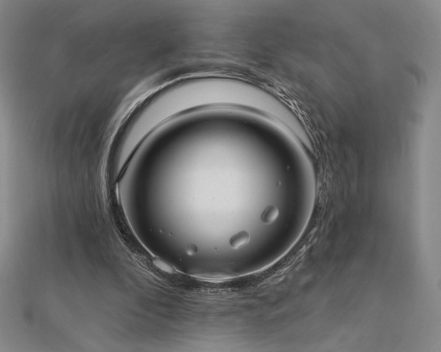 X0000113020296200908271439
