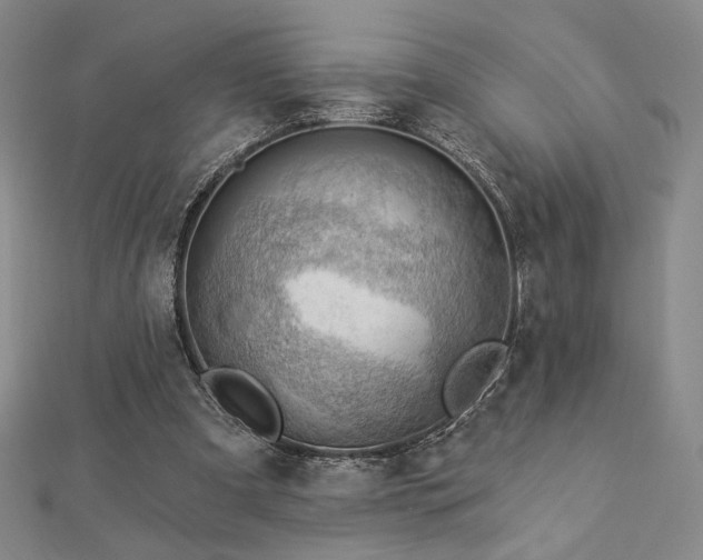 X0000113020297200908271439