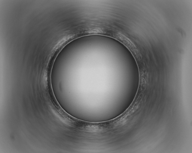 X0000113020298200908271439