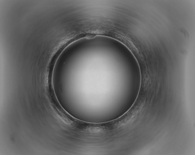X0000113020299200908271439