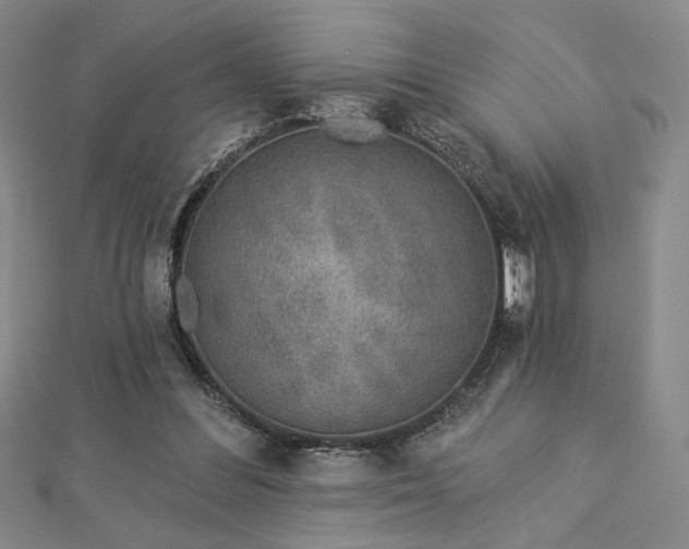 X0000113020300200908271439