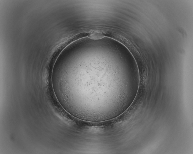 X0000113020303200908271439