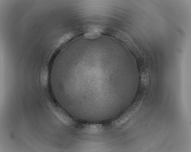 X0000113020304200908271439