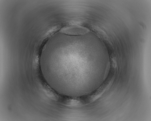 X0000113020308200908271439