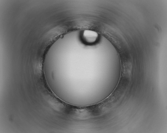 X0000113020309200908271439