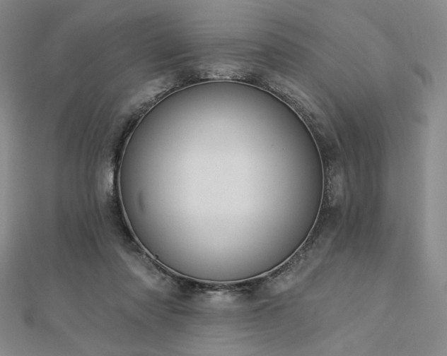 X0000113020310200908271439