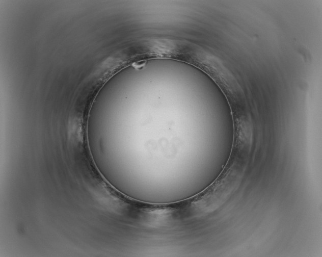 X0000113020313200908271439