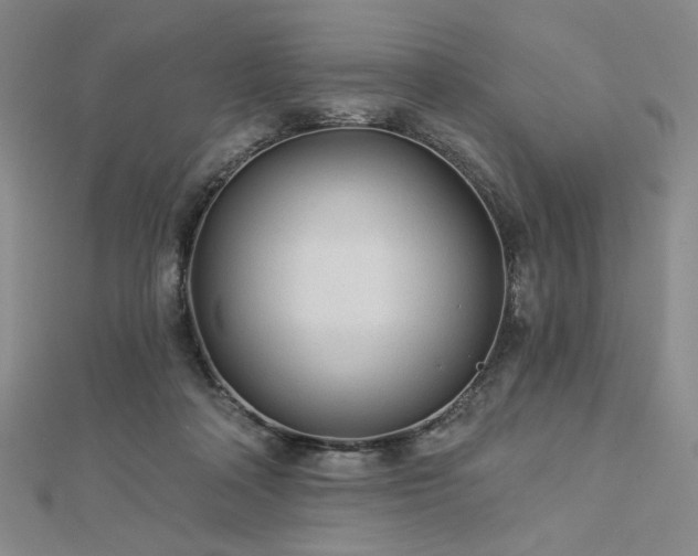 X0000113020314200908271439