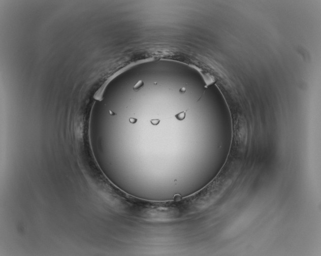 X0000113020315200908271439