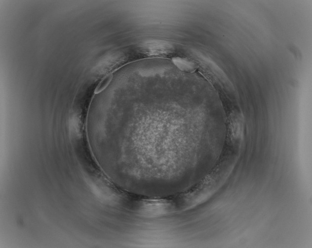 X0000113020316200908271439