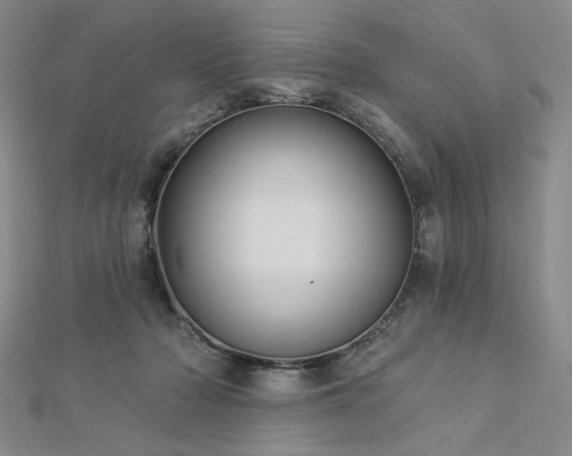 X0000113020318200908271439