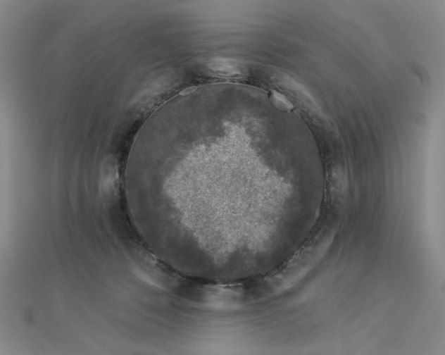 X0000113020320200908271439