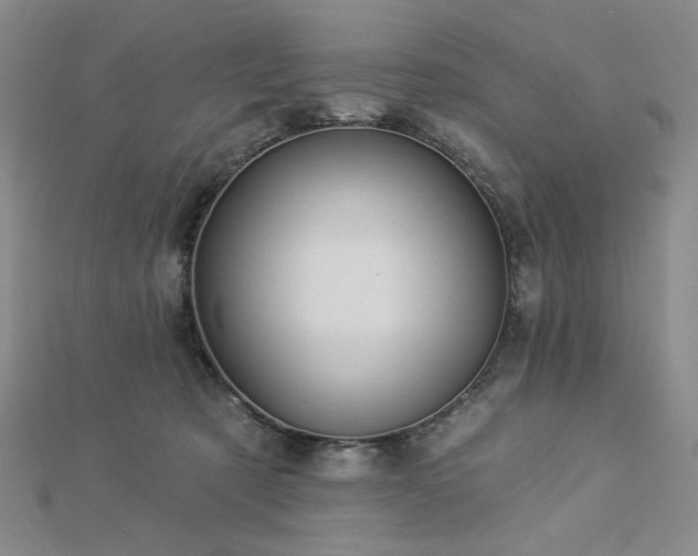 X0000113020321200908271439