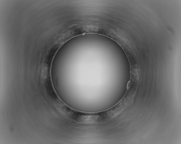 X0000113020323200908271439