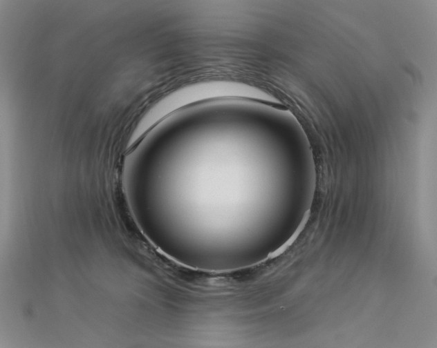 X0000113020324200908271439