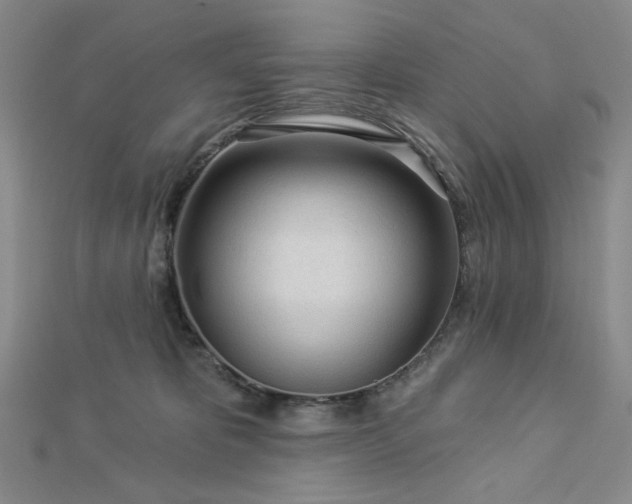 X0000113020325200908271439