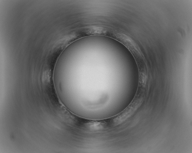 X0000113020326200908271439