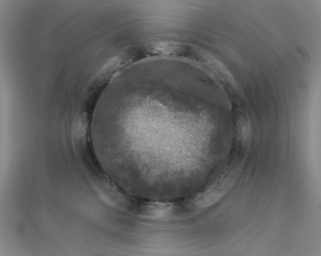 X0000113020328200908271439