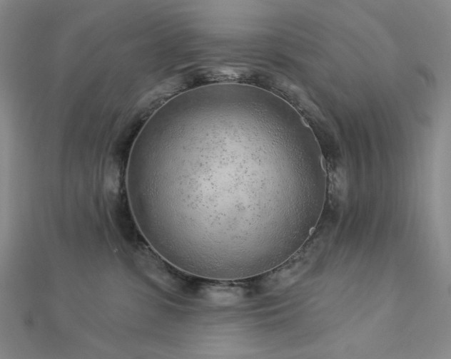X0000113020331200908271439