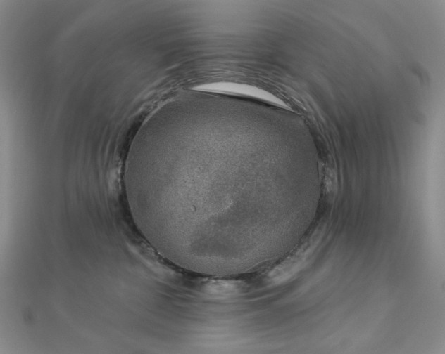 X0000113020332200908271439