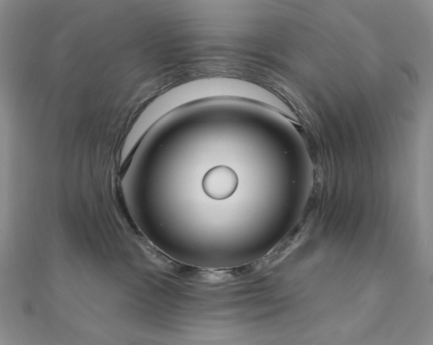 X0000113020333200908271439