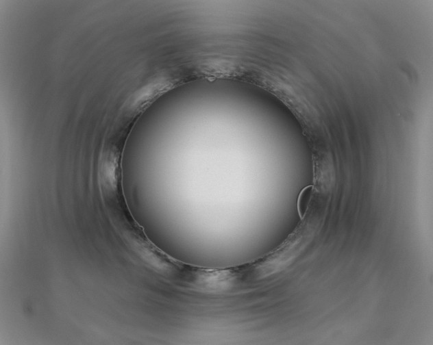 X0000113020334200908271439