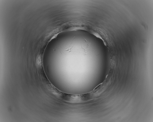 X0000113020335200908271439