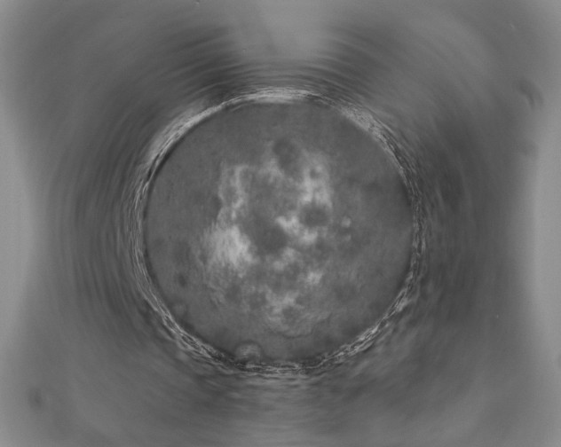 X0000113020337200908271438
