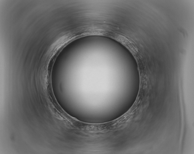 X0000113020338200908271438