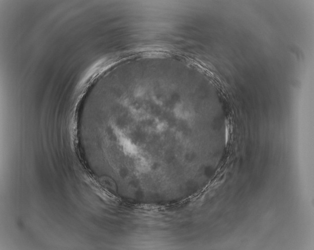 X0000113020339200908271438