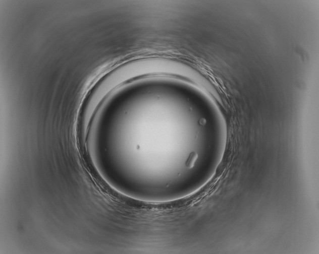 X0000113020340200908271438
