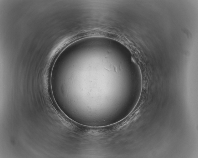 X0000113020341200908271438