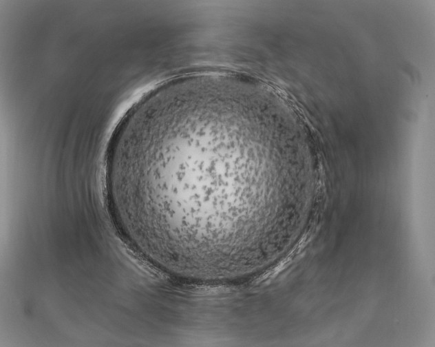 X0000113020342200908271438