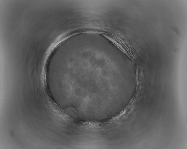X0000113020343200908271438